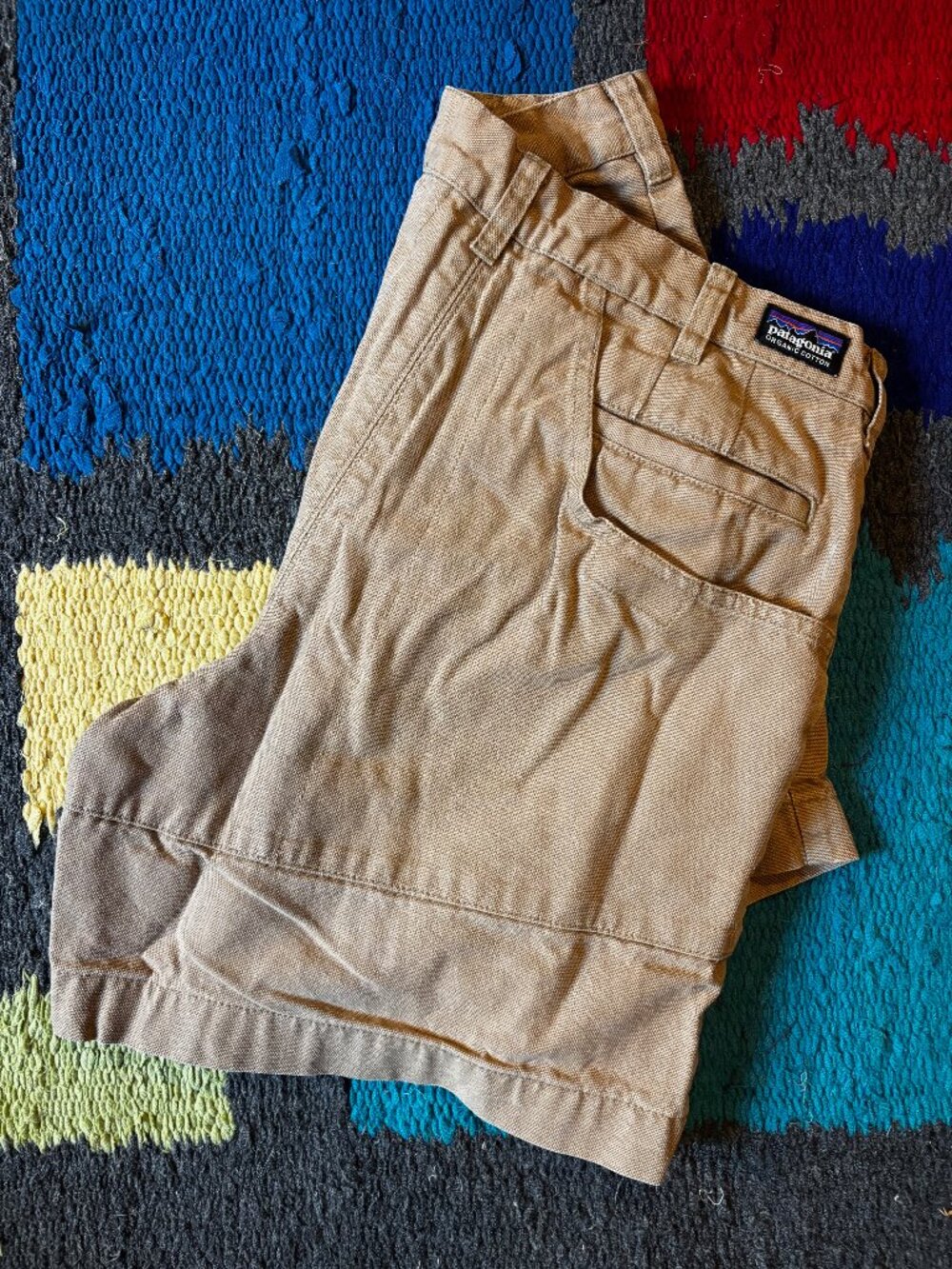 Patagonia Stand Up Canvas Shorts